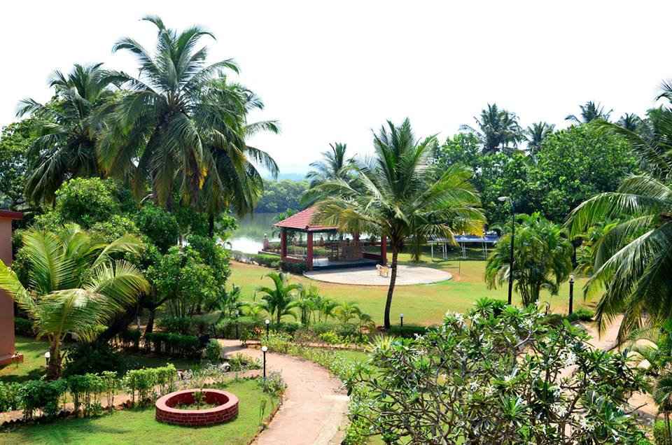 Место размещения на фестивале йоги в Гоа, 2014 г.